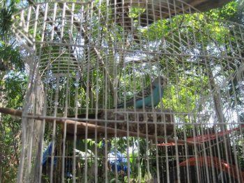 Yucatan Mayan Retreat Ecohotel And Camping Chichen Itza Luaran gambar